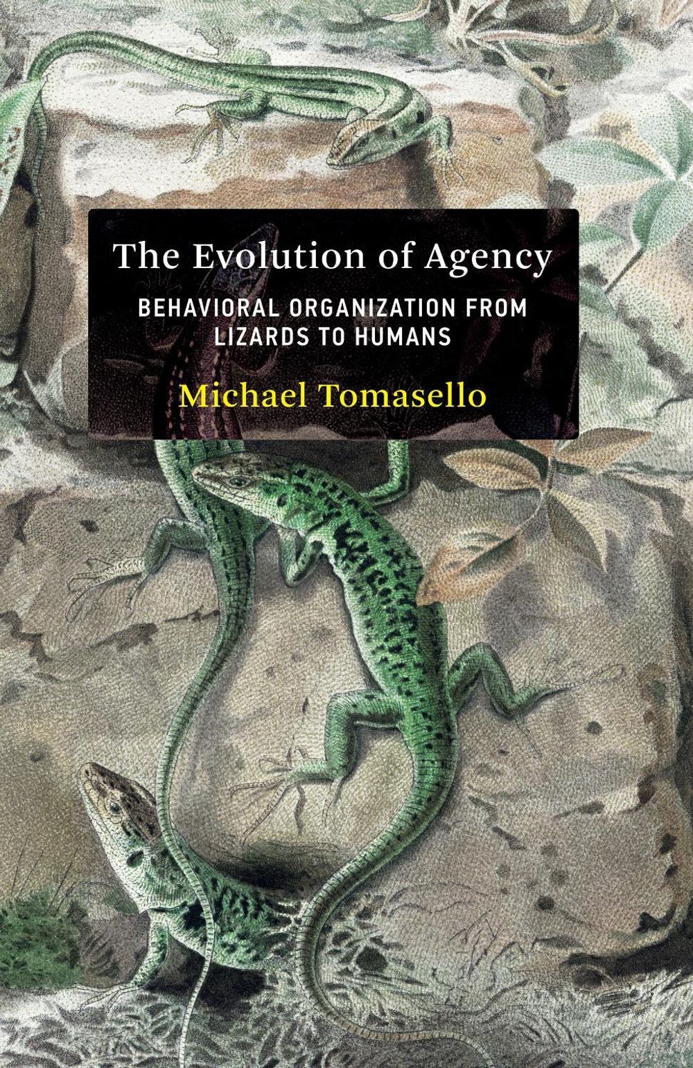 The Evolution of Agency by Michael Tomasello - ISBN: 9780262047005