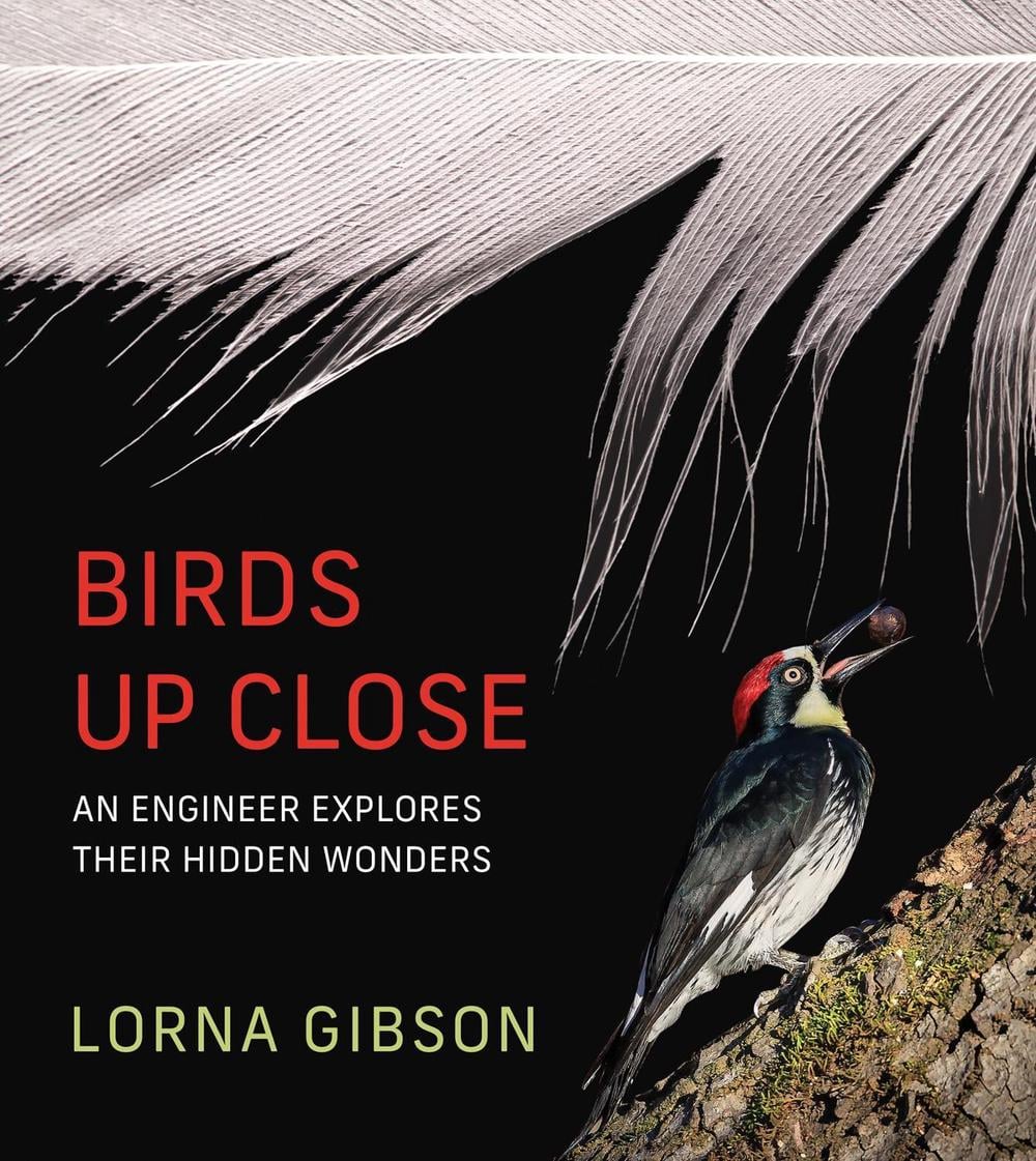 Birds Up Close by Lorna Gibson - ISBN: 9780262049894