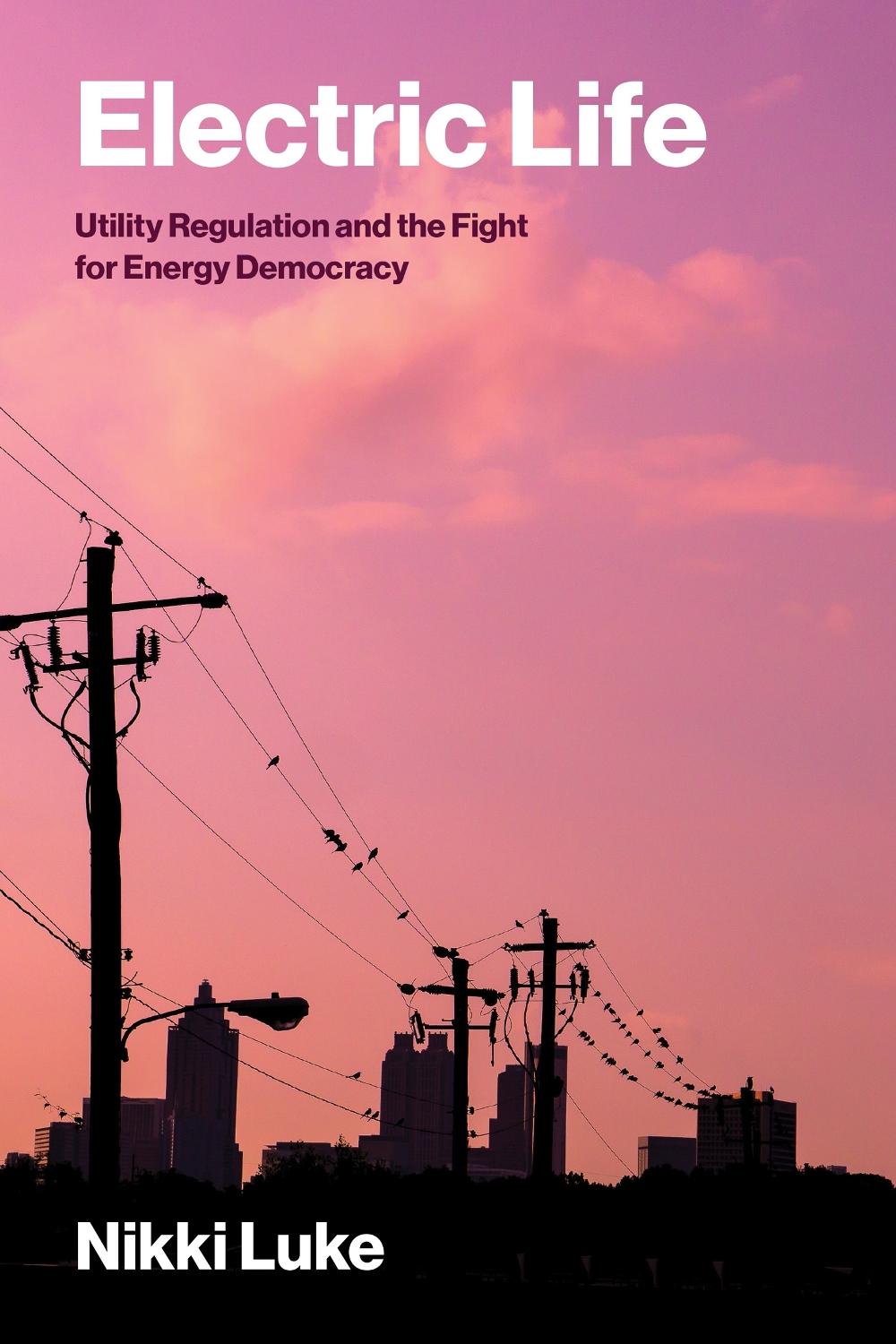 Electric Life by Nikki Luke - ISBN: 9780262051972