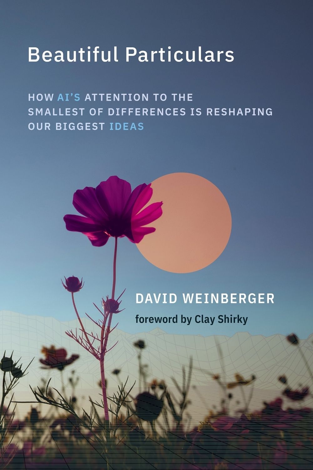 Beautiful Particulars by David Weinberger - ISBN: 9780262054867