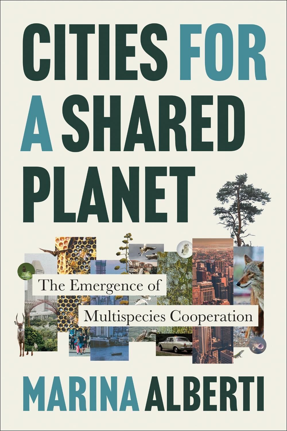 Cities for a Shared Planet by Marina Alberti - ISBN: 9780262055550