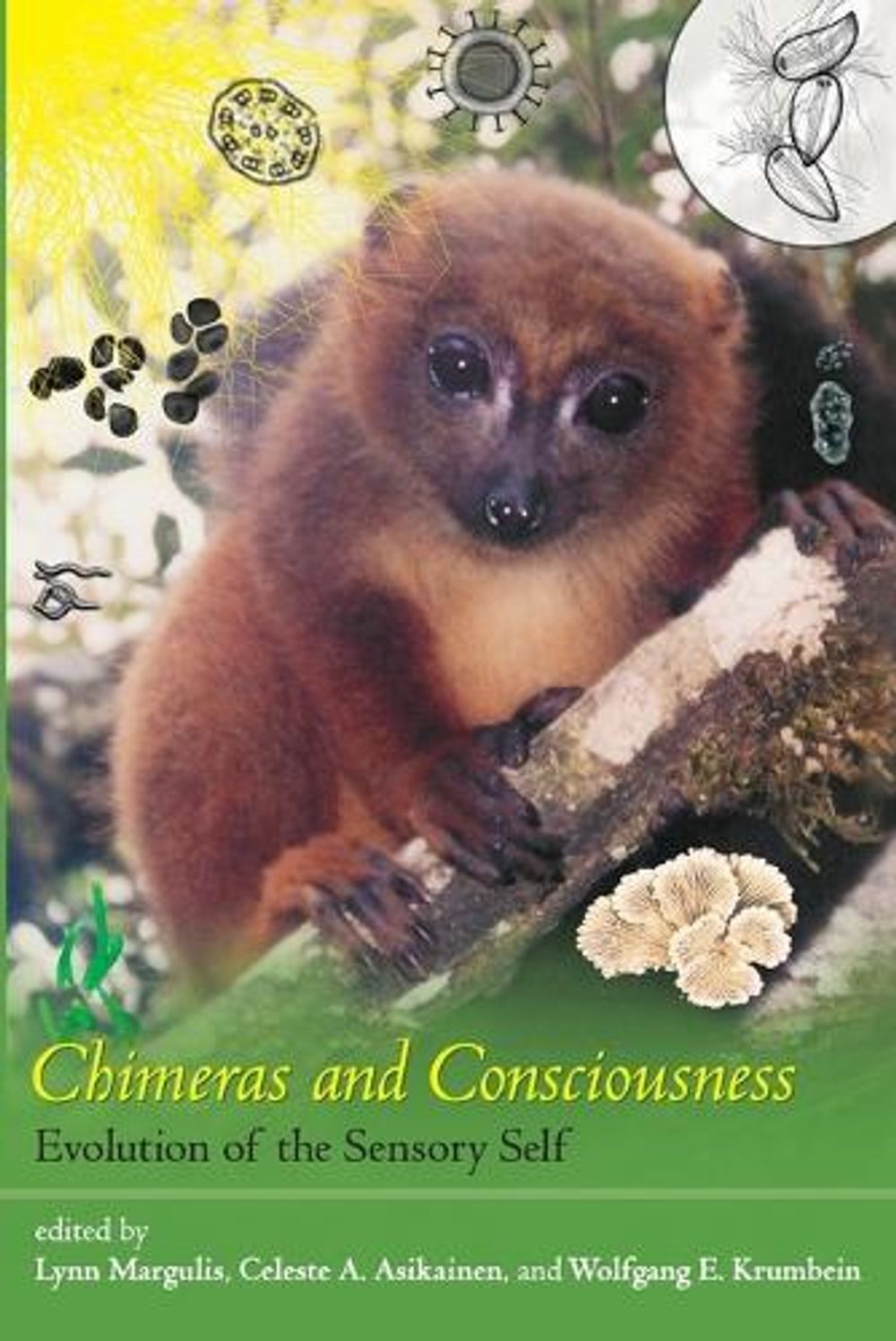 Chimeras and Consciousness by Lynn Margulis - ISBN: 9780262515832