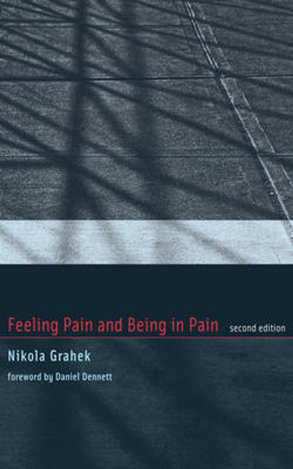 Feeling Pain and Being in Pain by Nikola Grahek - ISBN: 9780262517324