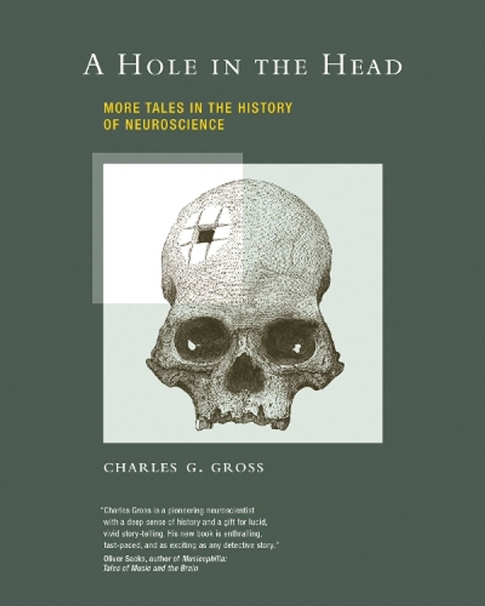A Hole in the Head by Charles G. Gross - ISBN: 9780262517331