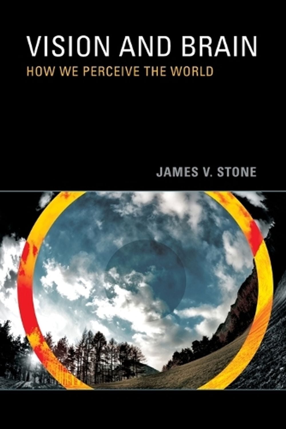 Vision and Brain by James V. Stone - ISBN: 9780262517737