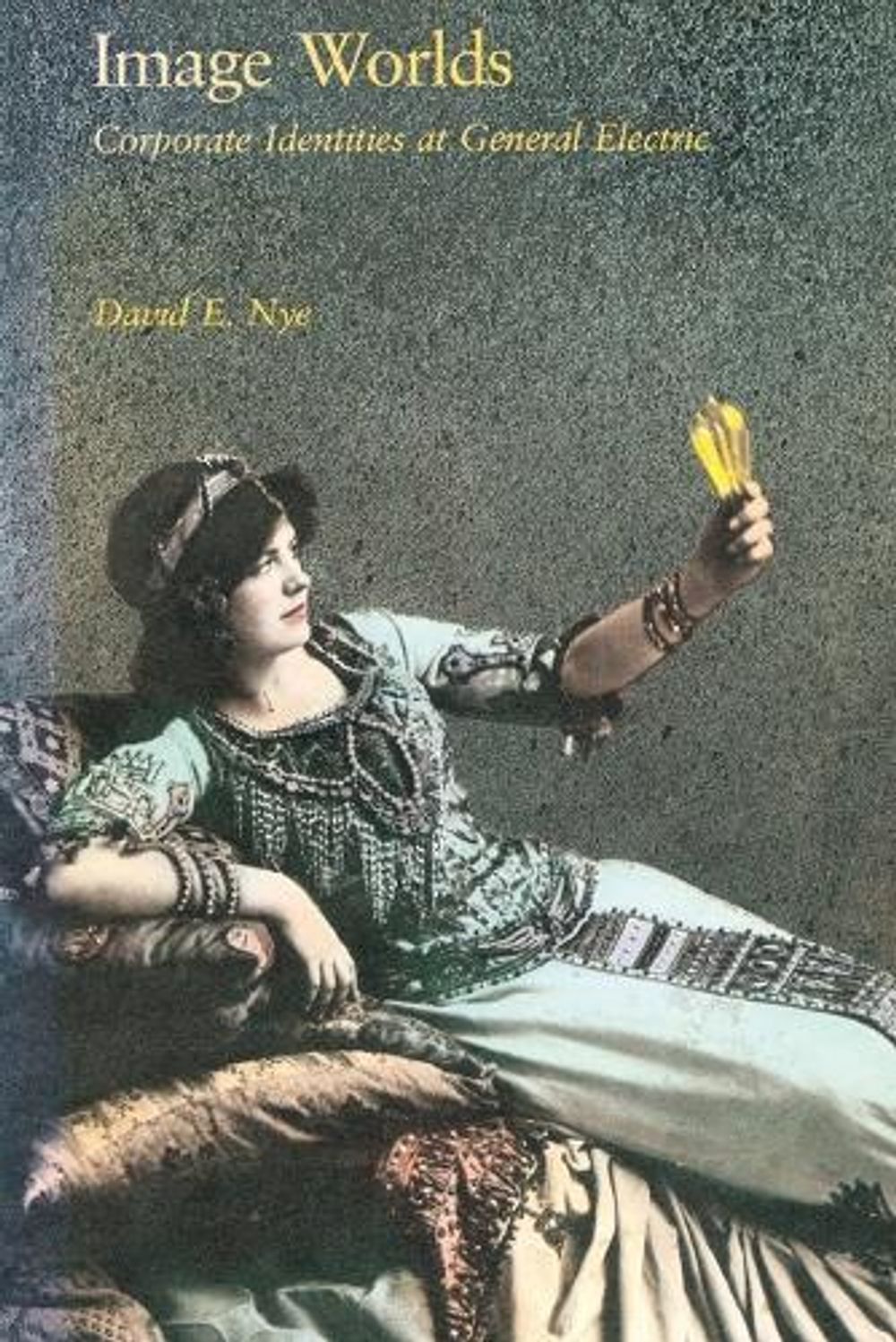 Image Worlds by David E. Nye - ISBN: 9780262524995