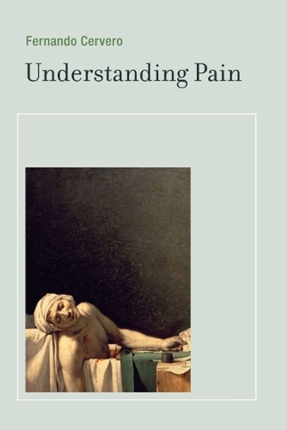 Understanding Pain by Fernando Cervero - ISBN: 9780262526067