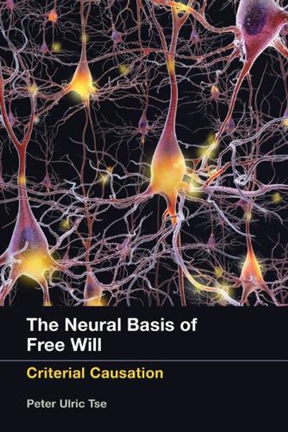 The Neural Basis of Free Will by Peter Ulric Tse - ISBN: 9780262528313