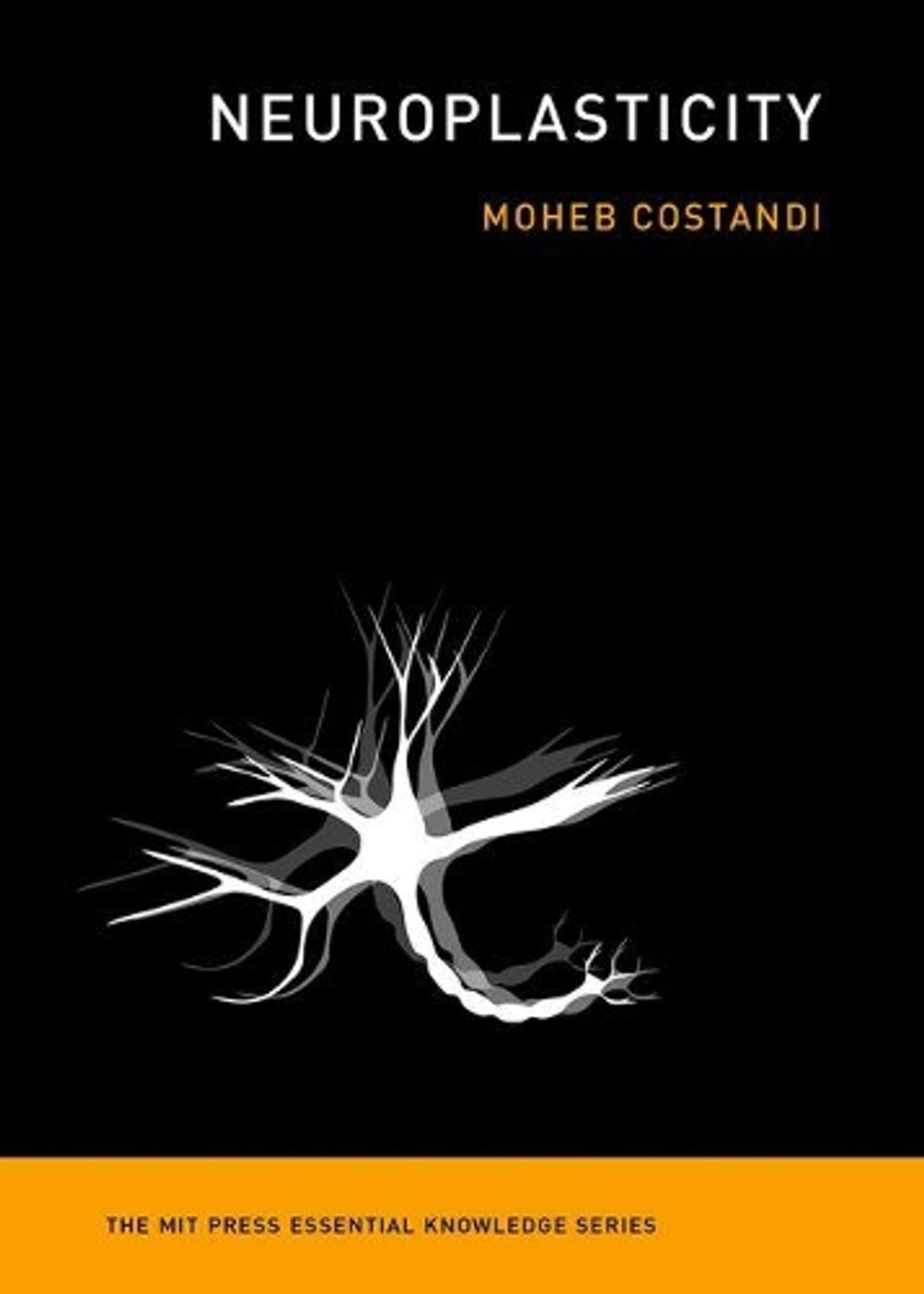 Neuroplasticity by Moheb Costandi - ISBN: 9780262529334