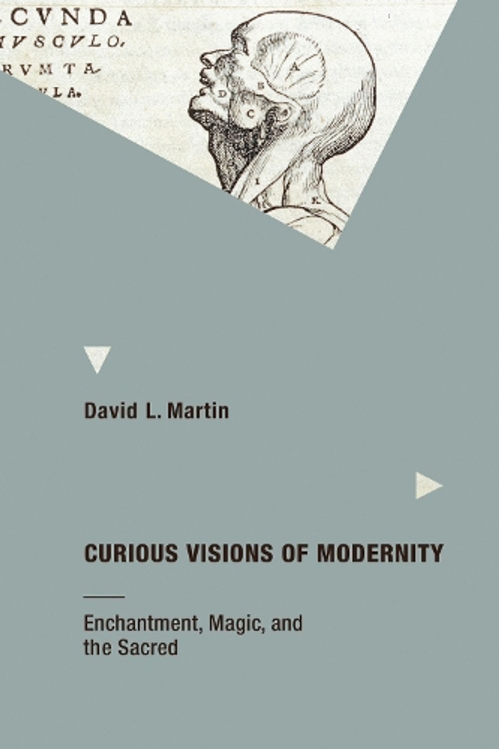 Curious Visions of Modernity by David L. Martin - ISBN: 9780262529464