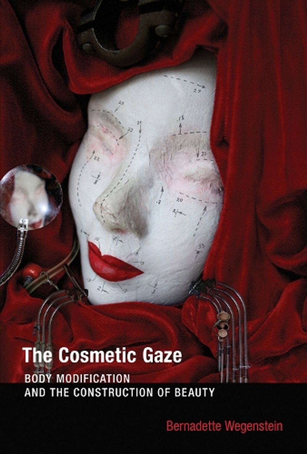 The Cosmetic Gaze by Bernadette Wegenstein - ISBN: 9780262529662