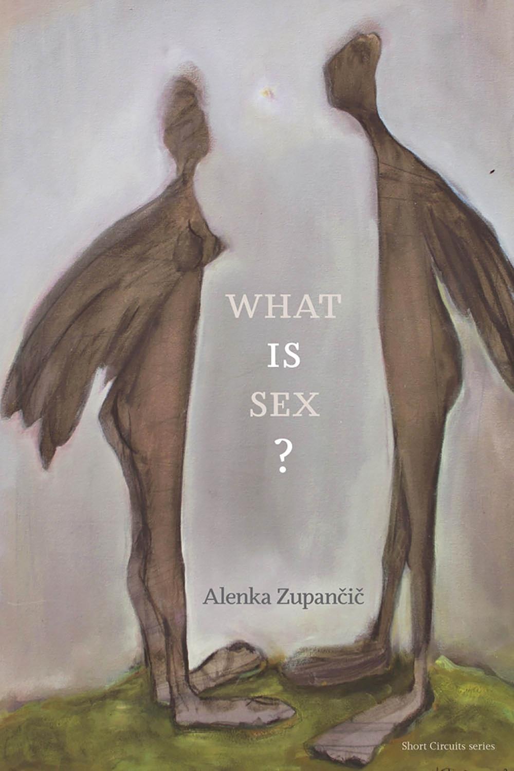 What IS Sex? by Alenka Zupancic - ISBN: 9780262534130