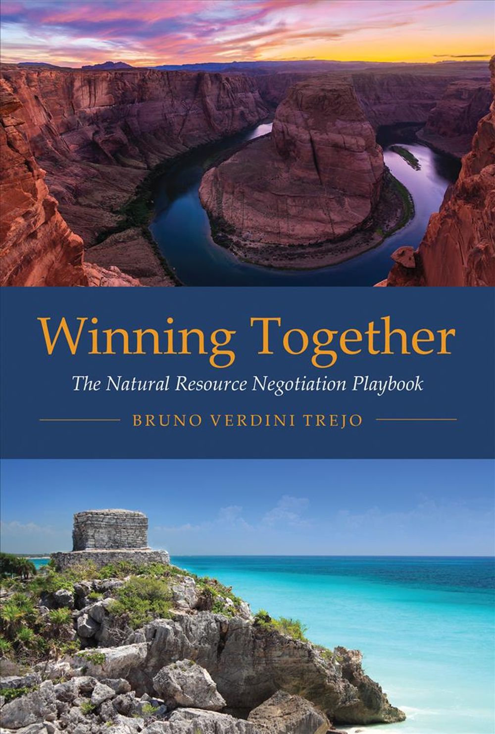 Winning Together by Bruno Verdini Trejo - ISBN: 9780262534376
