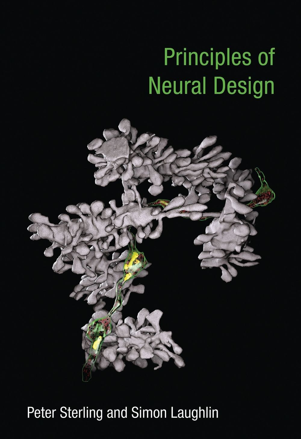 Principles of Neural Design by Peter Sterling - ISBN: 9780262534680