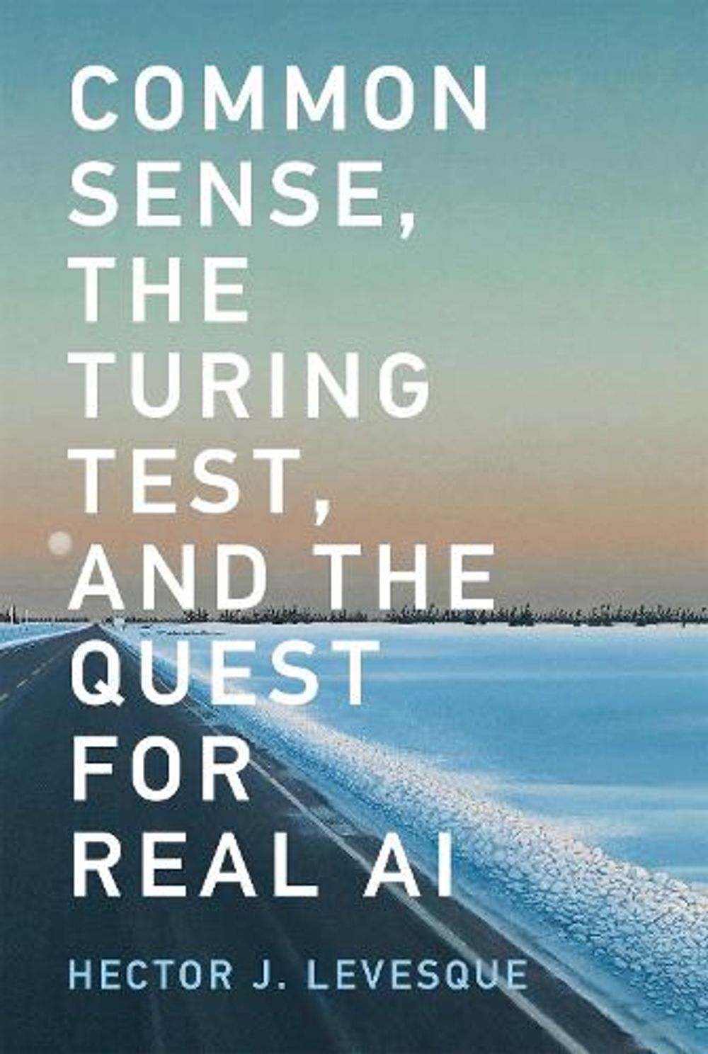 Common Sense, the Turing Test, and the Quest for Real Ai by Hector J. Levesque - ISBN: 9780262535205