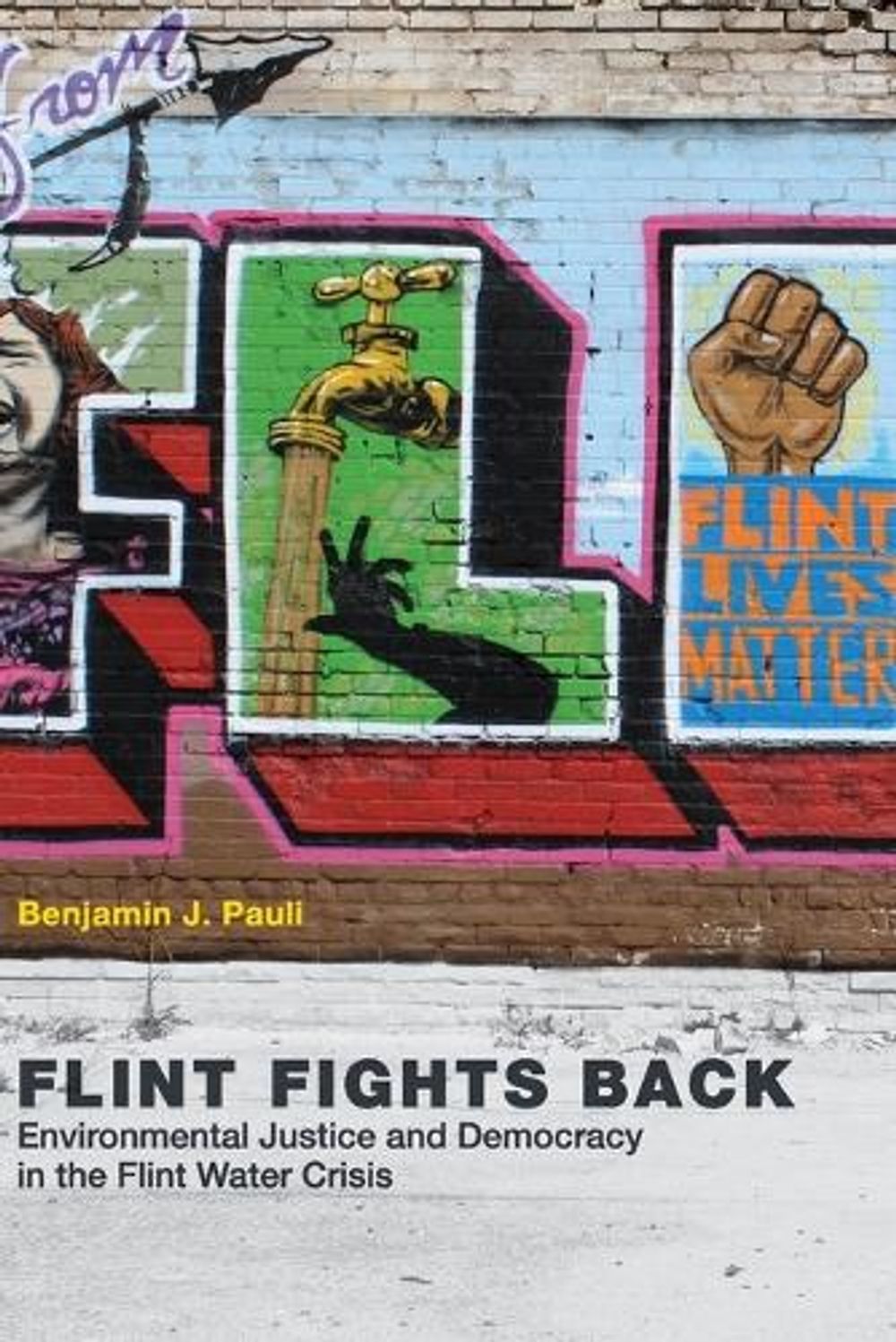 Flint Fights Back by Benjamin J. Pauli - ISBN: 9780262536868