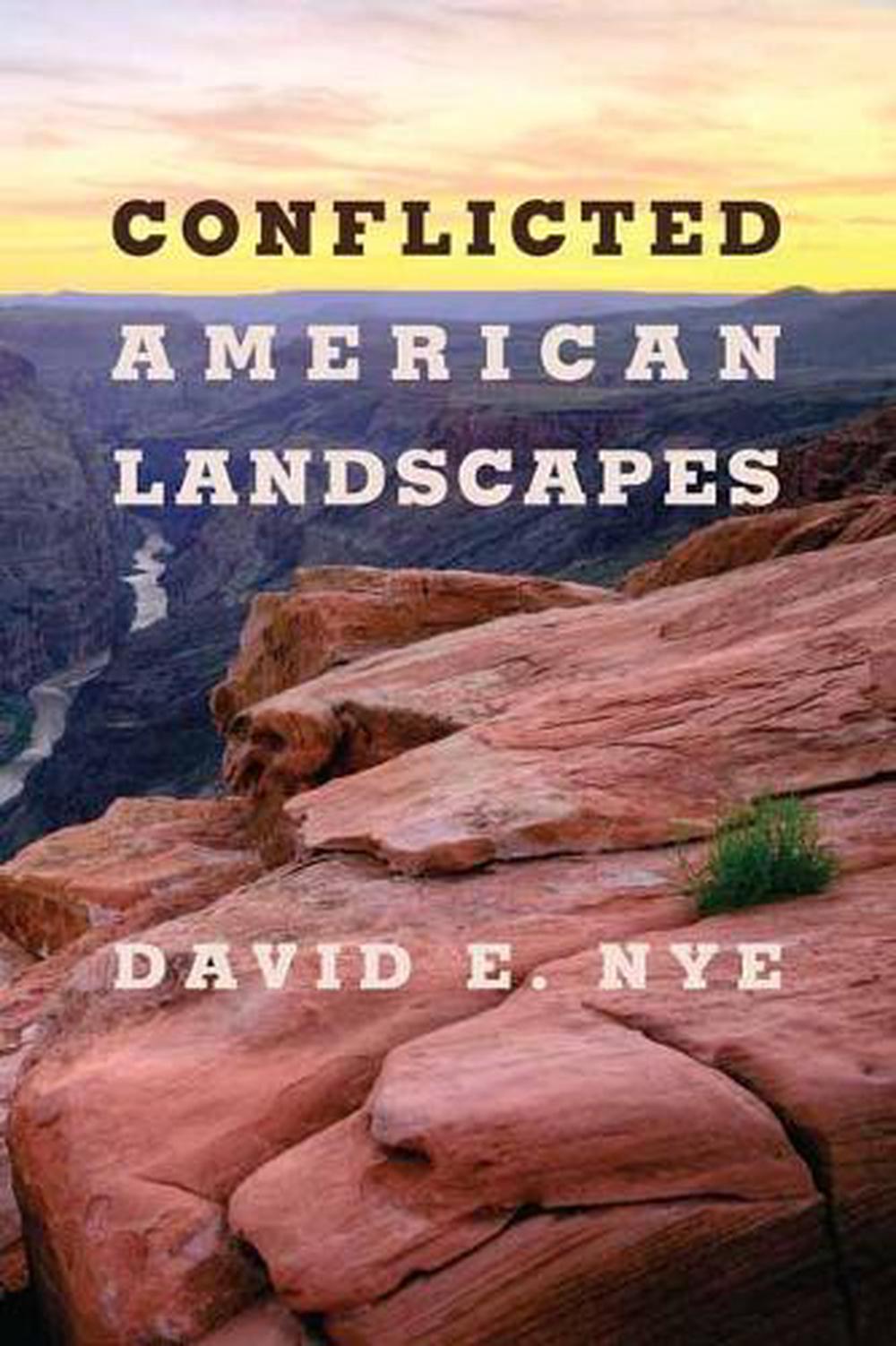 Conflicted American Landscapes by David E. Nye - ISBN: 9780262542081