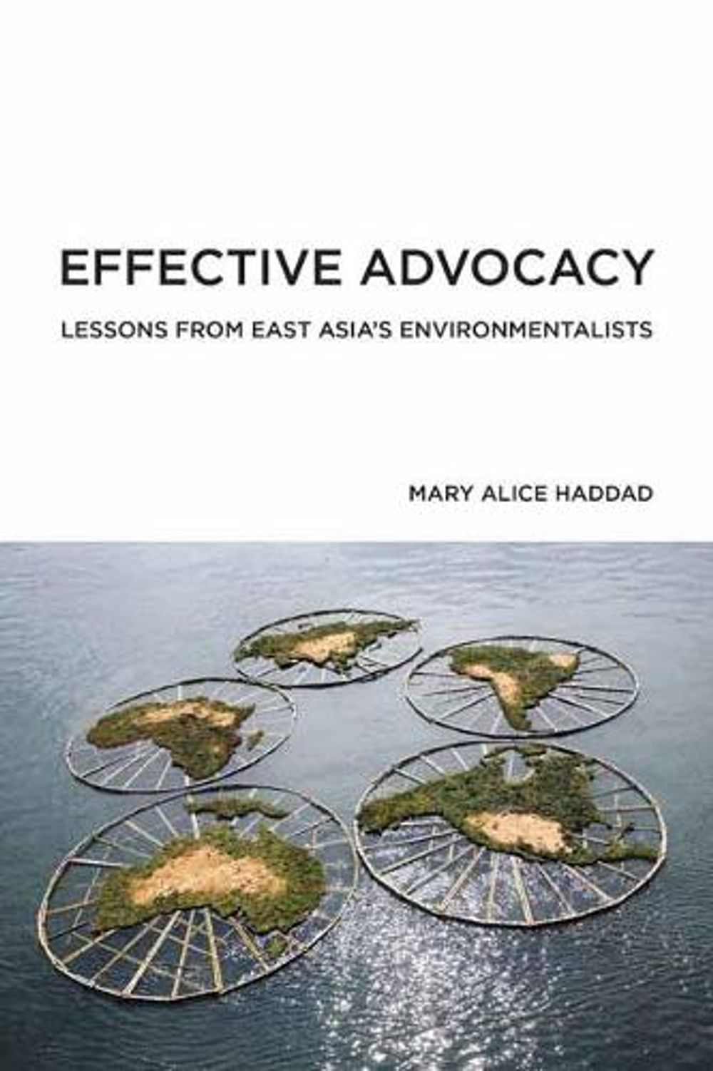 Effective Advocacy by Mary Alice Haddad - ISBN: 9780262542357