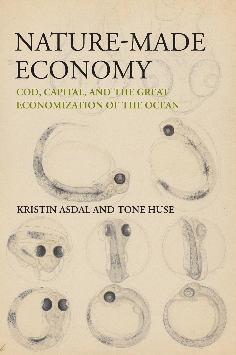 Nature-Made Economy by Kristin Asdal - ISBN: 9780262545525