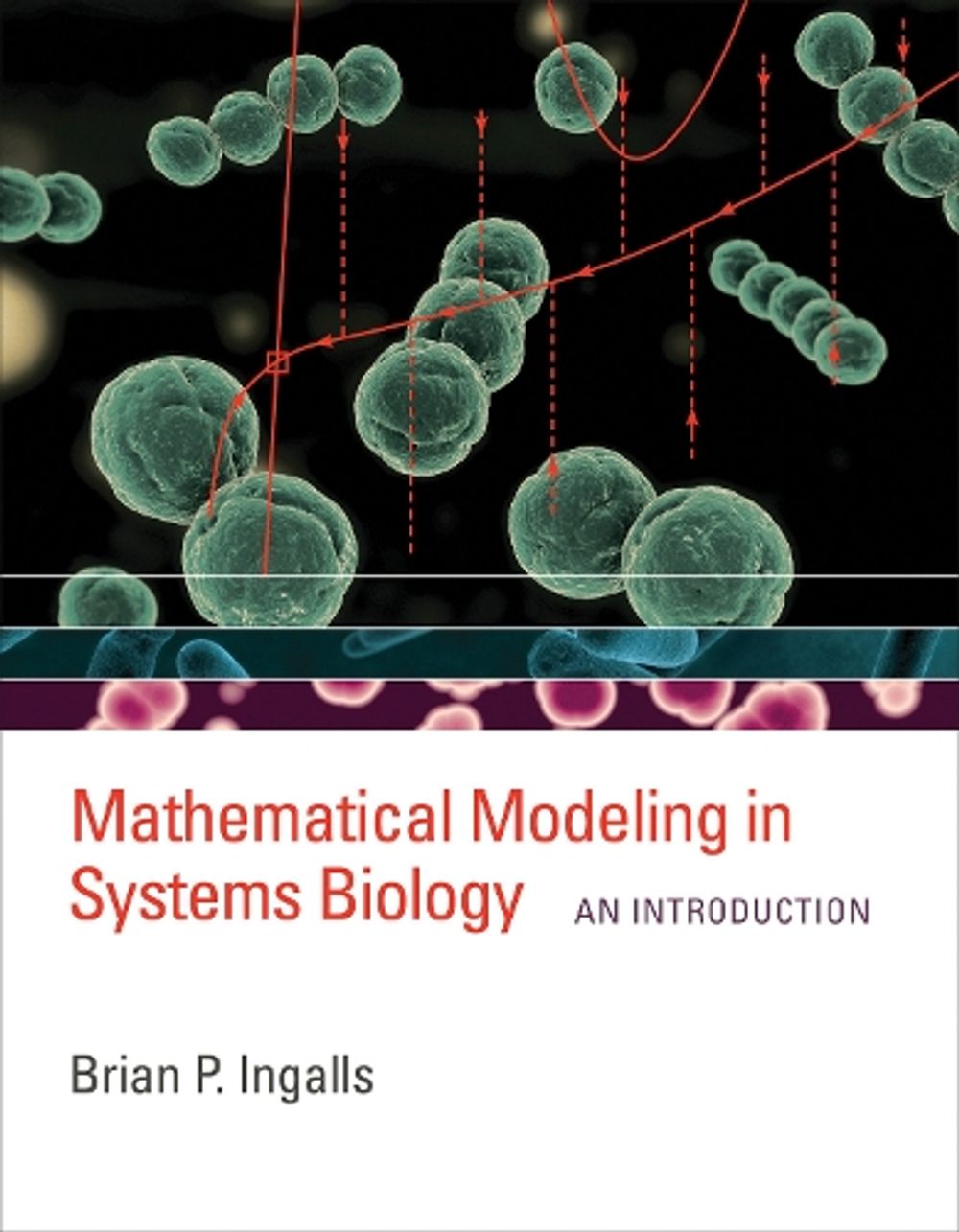 Mathematical Modeling in Systems Biology by Brian P. Ingalls - ISBN: 9780262545822