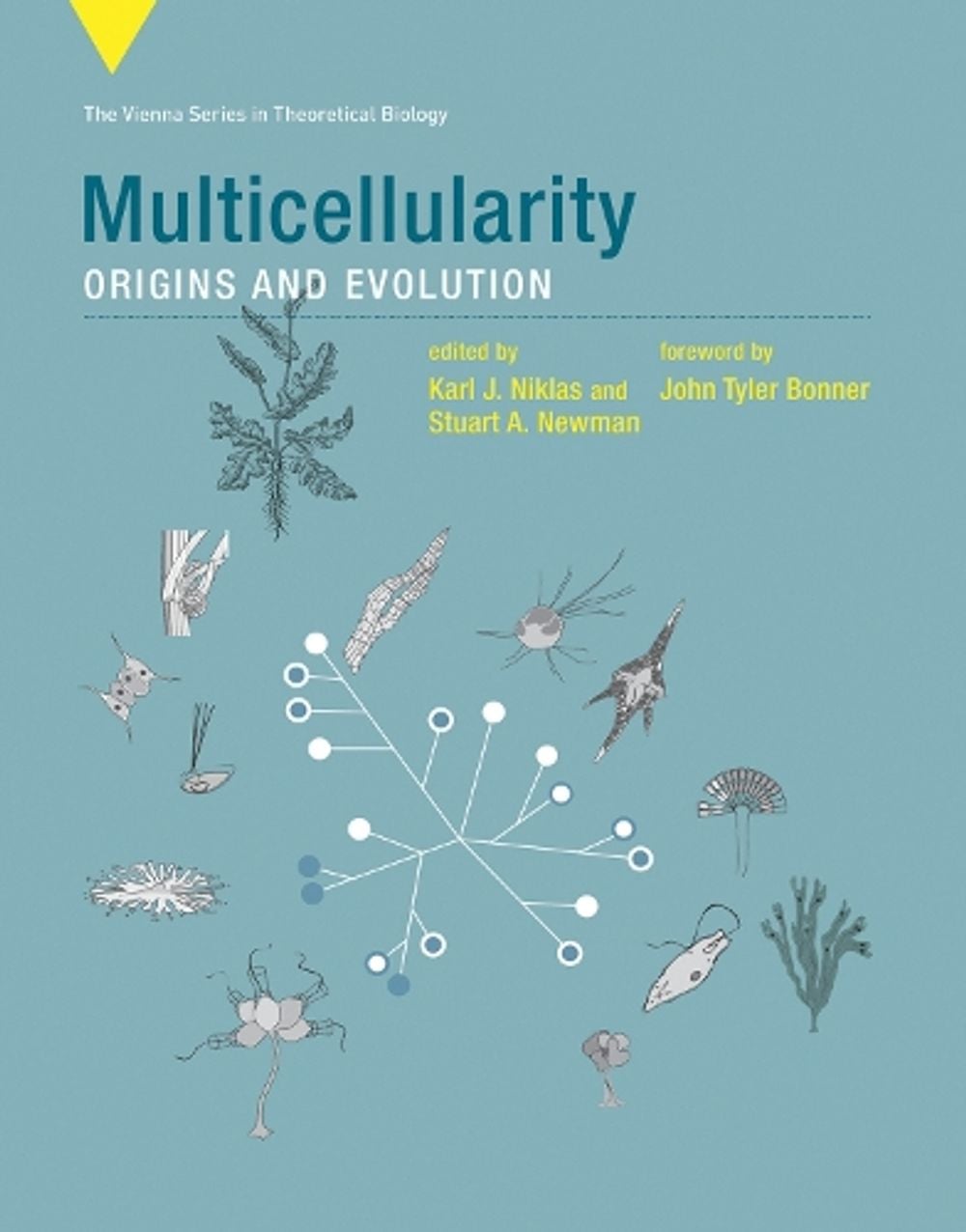 Multicellularity by Karl J. Niklas - ISBN: 9780262545853