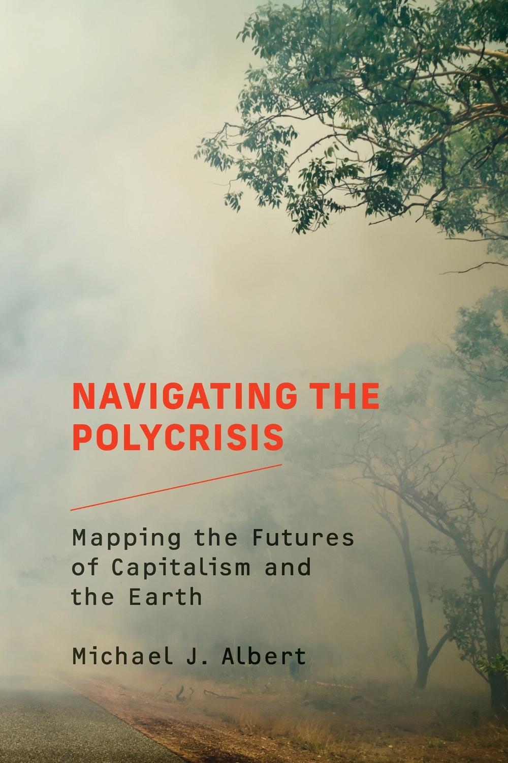 Navigating the Polycrisis by Michael J. Albert - ISBN: 9780262547758