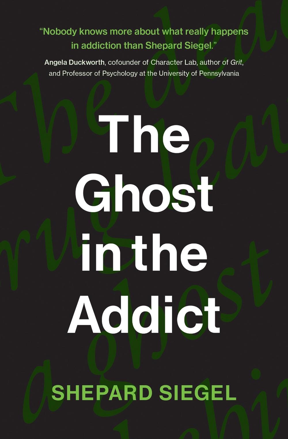 The Ghost in the Addict by Shepard Siegel - ISBN: 9780262547970