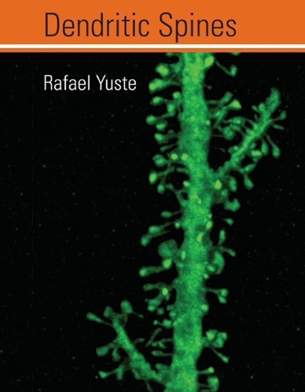 Dendritic Spines by Rafael Yuste - ISBN: 9780262549004