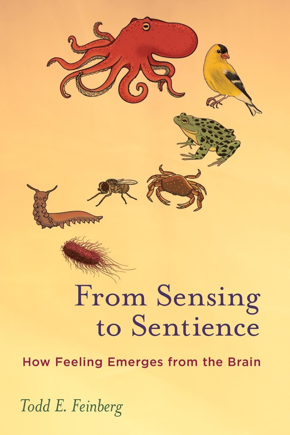 From Sensing to Sentience by Todd E. Feinberg - ISBN: 9780262550956