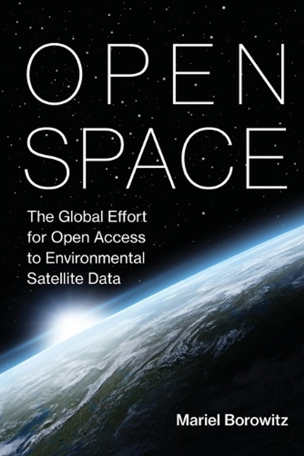 Open Space by Mariel Borowitz - ISBN: 9780262551199