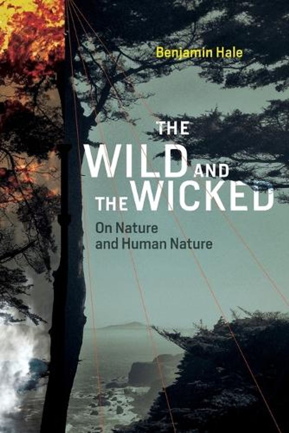 The Wild and the Wicked by Benjamin Hale - ISBN: 9780262551267