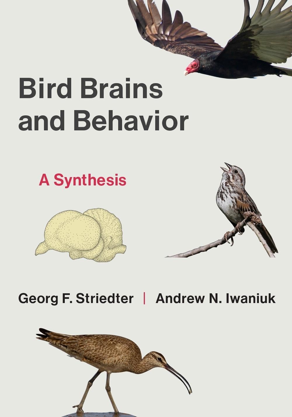 Bird Brains and Behavior by Andrew Iwaniuk - ISBN: 9780262552738