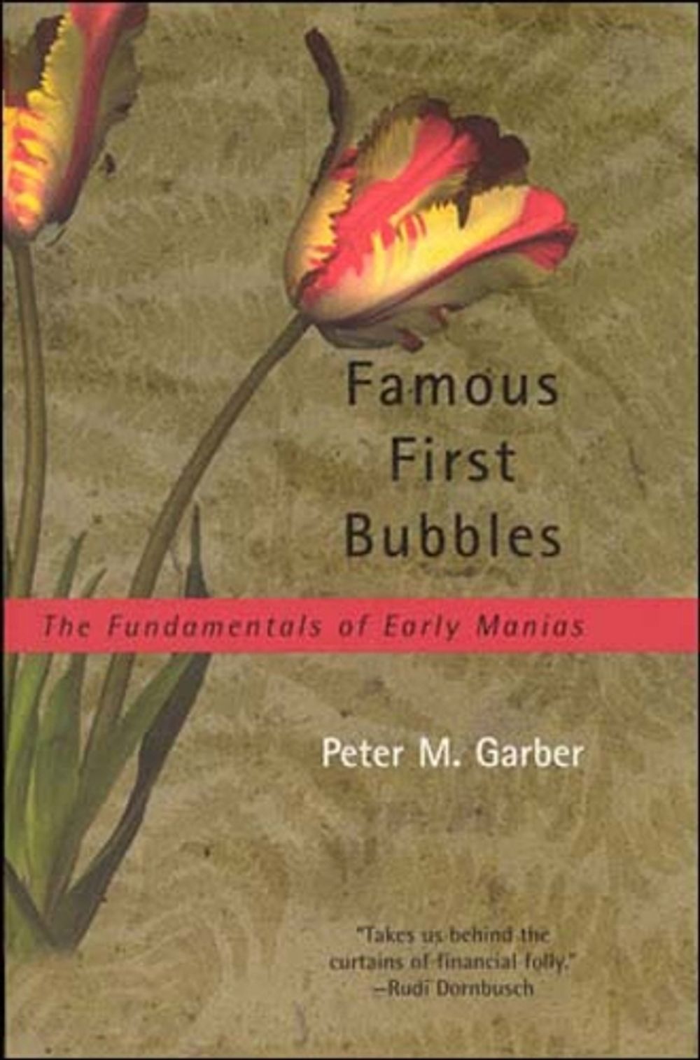Famous First Bubbles by Peter M. Garber - ISBN: 9780262571531