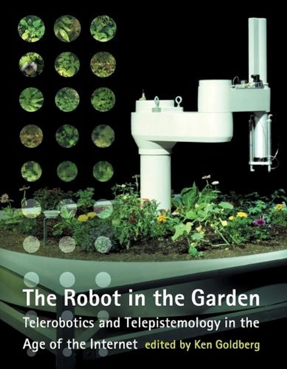 The Robot in the Garden by Ken Goldberg - ISBN: 9780262571548