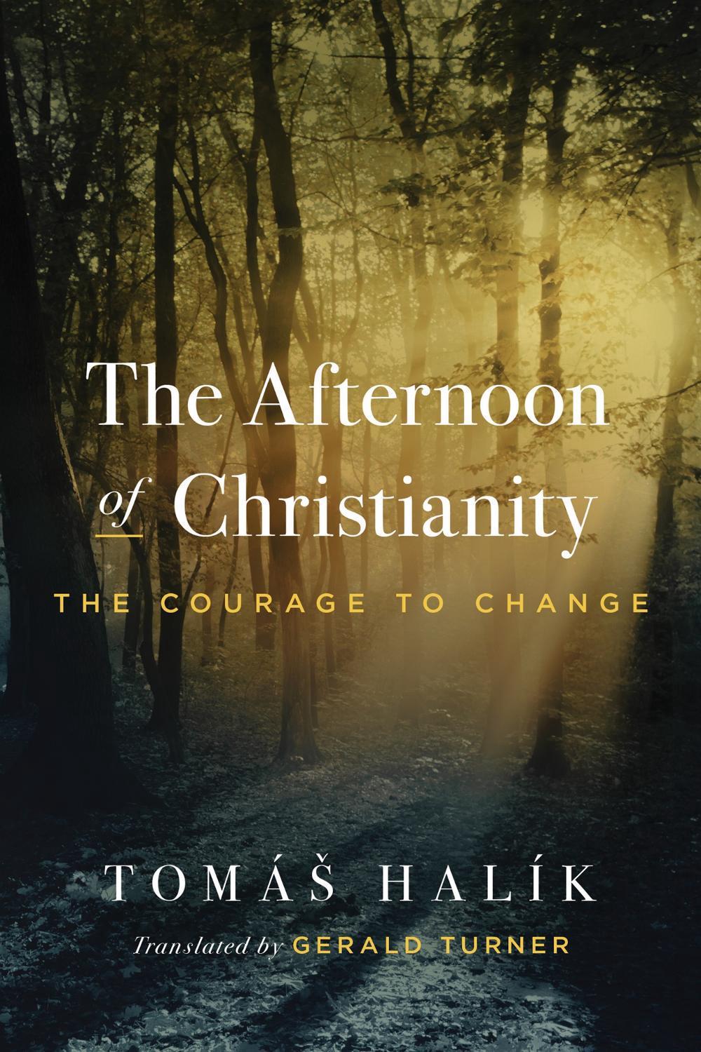 The Afternoon of Christianity, 9780268207472