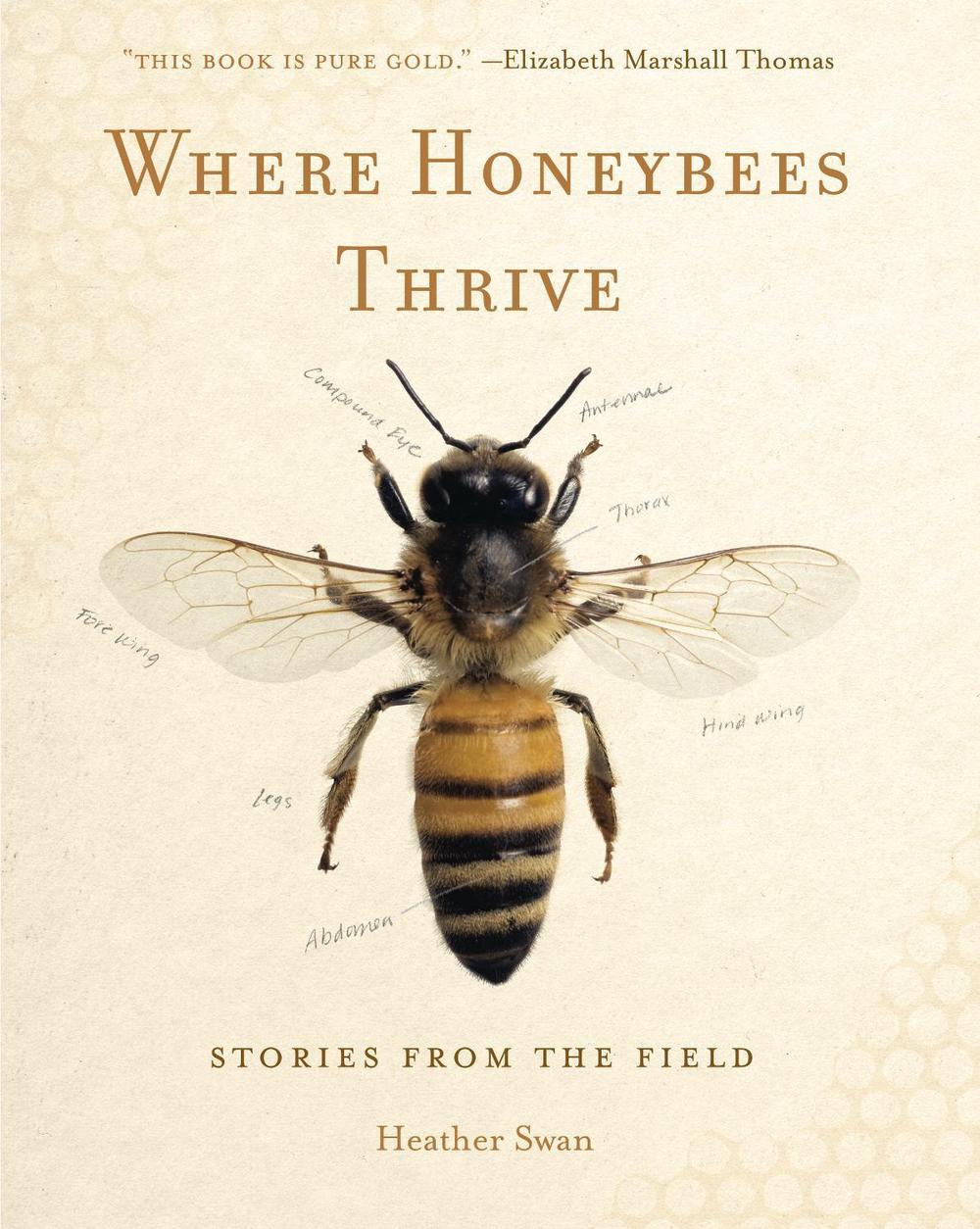 Where Honeybees Thrive, 9780271077413