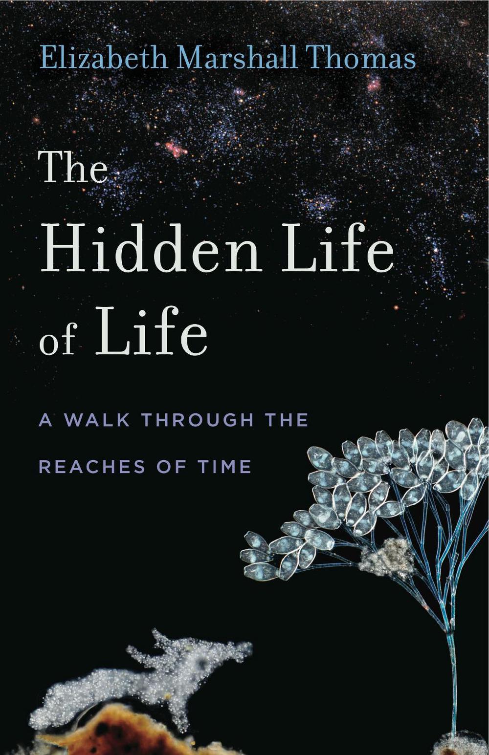 The Hidden Life of Life, 9780271081014