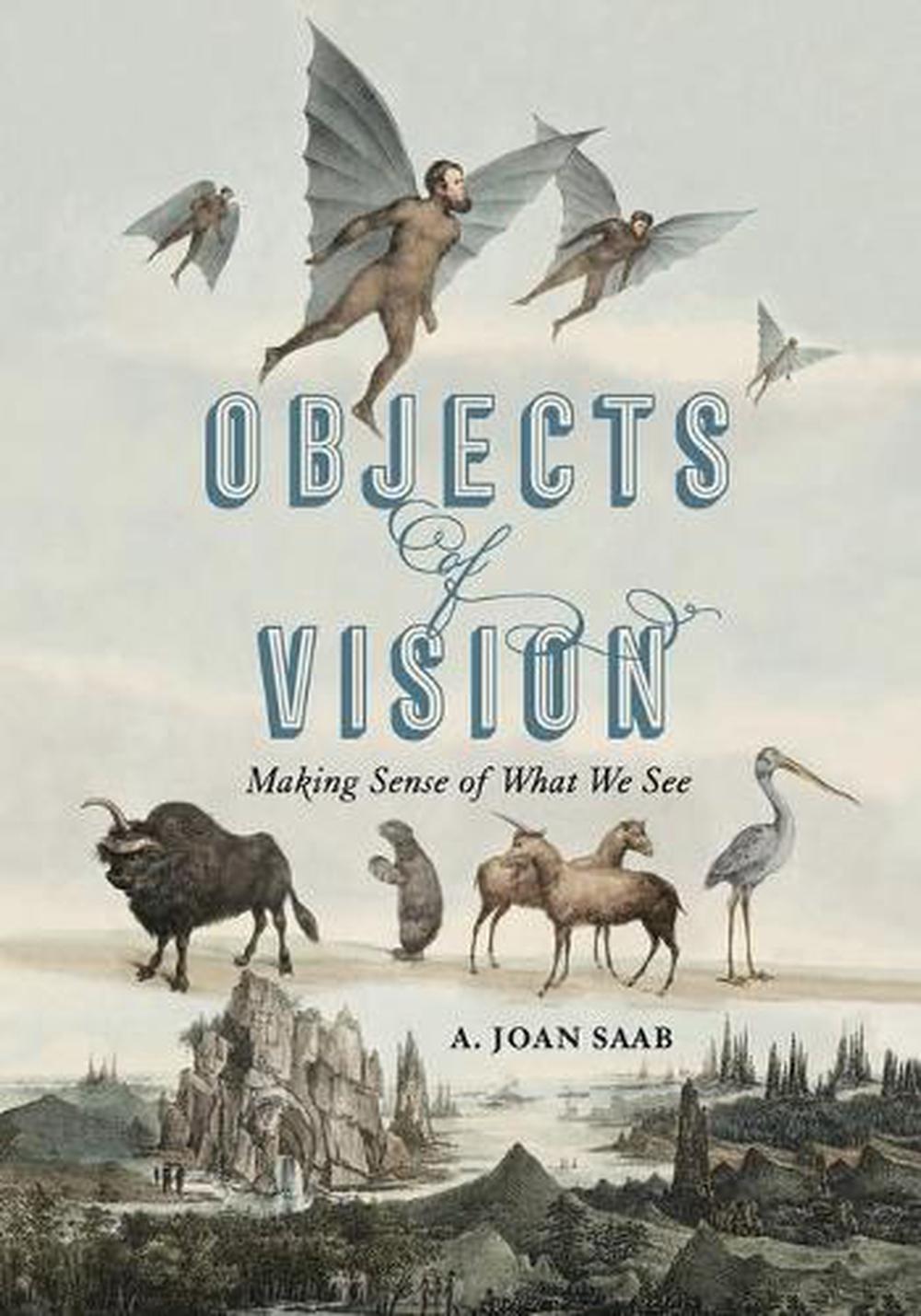 Objects of Vision, 9780271088112