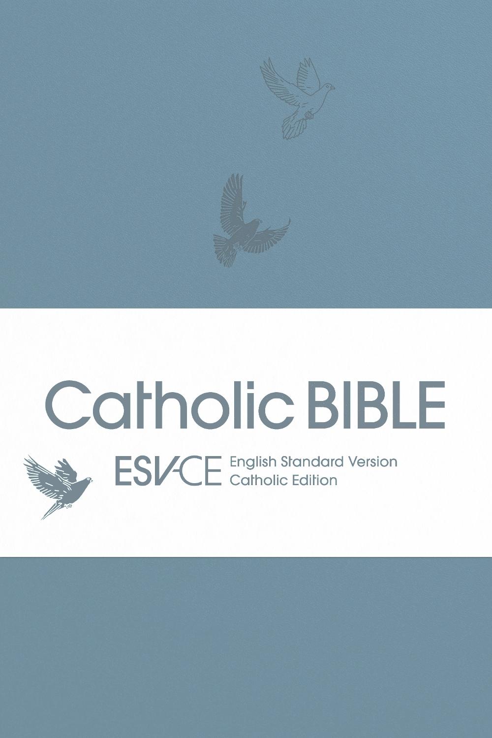 ESV-CE Catholic Bible. The Official Liturgical Bible for England, Wales and Scotland from Advent 24, 9780281090716