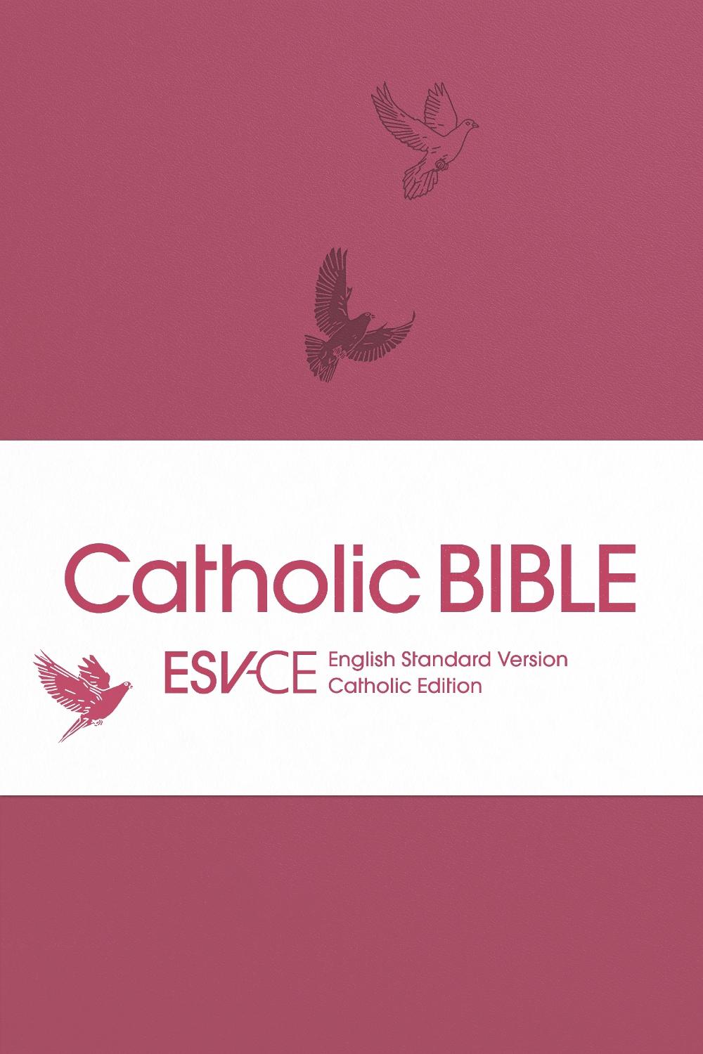 ESV-CE Catholic Bible. The Official Liturgical Bible for England, Wales and Scotland from Advent 24, 9780281090723