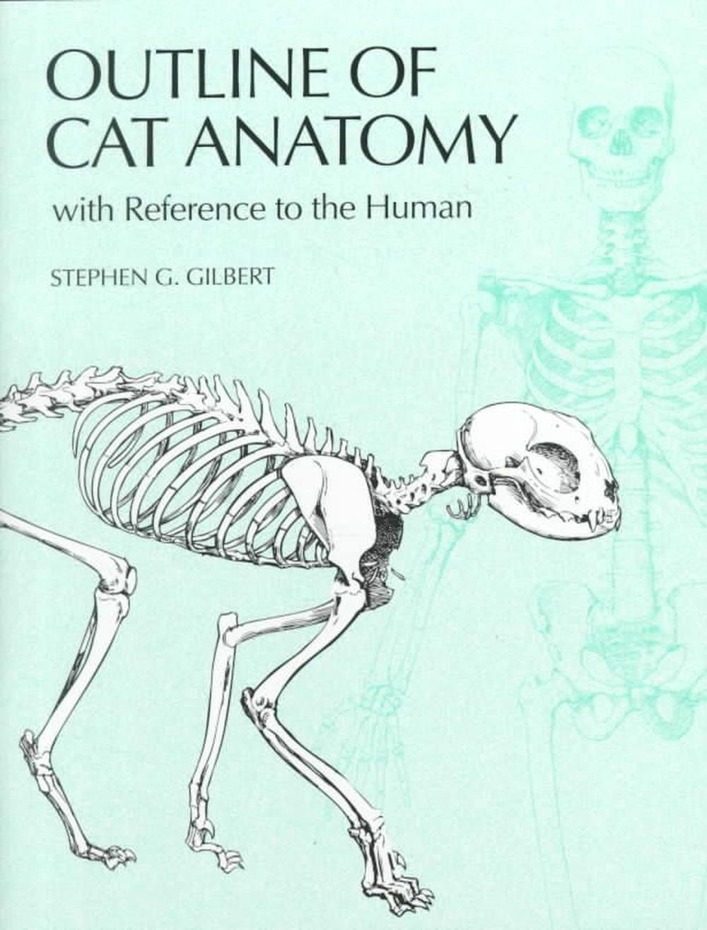 Outline of Cat Anatomy with Reference to the Human, 9780295978185