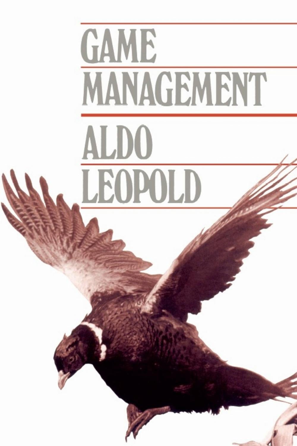 Game Management (P) by Aldo Leopold, Paperback, 9780299107741 | Buy online at The Nile