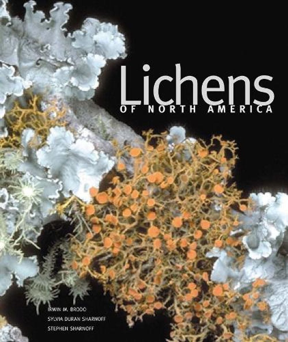Lichens of North America by Irwin M. Brodo - ISBN: 9780300082494