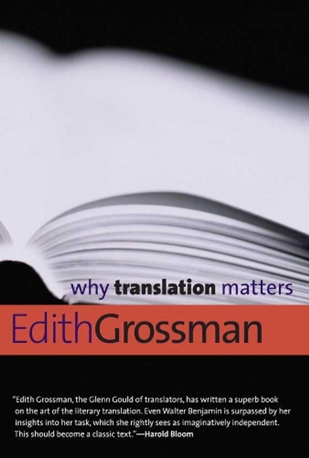 Why Translation Matters by Edith Grossman - ISBN: 9780300171303
