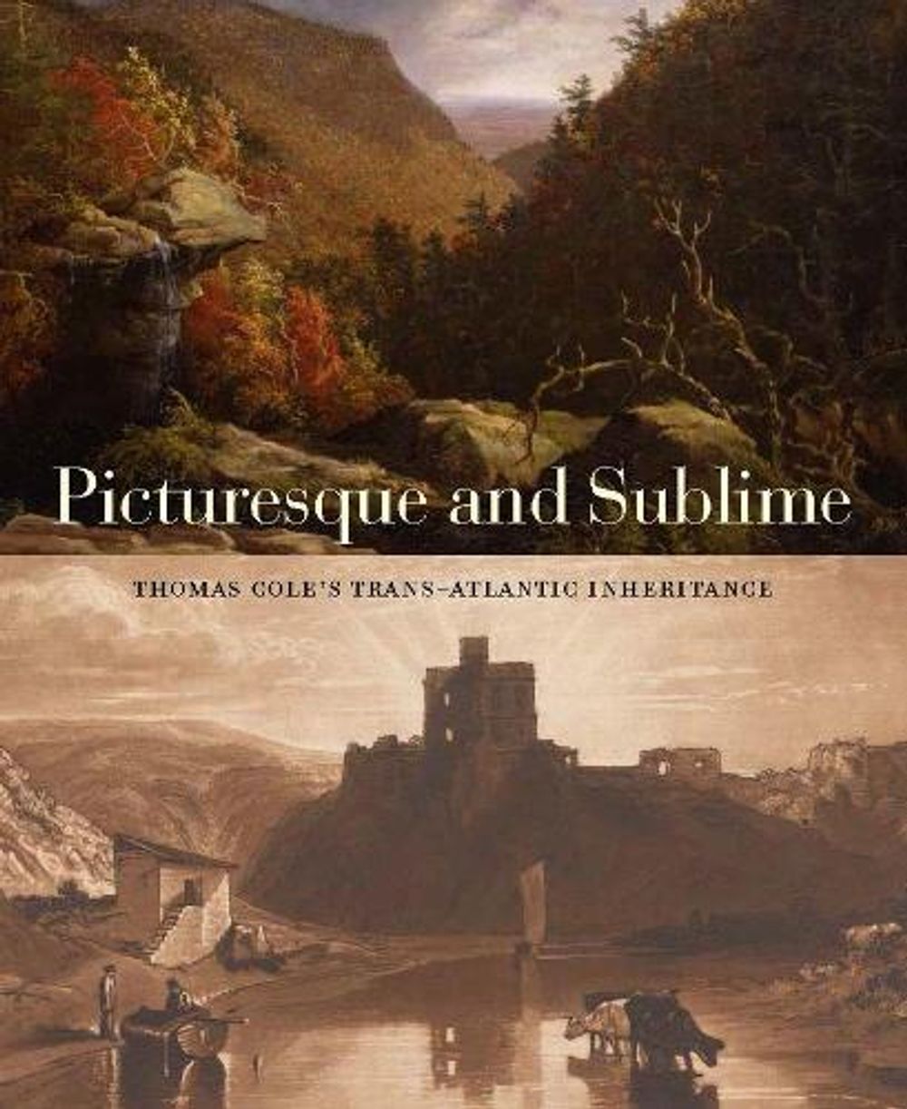 Picturesque and Sublime by Tim Barringer - ISBN: 9780300233537