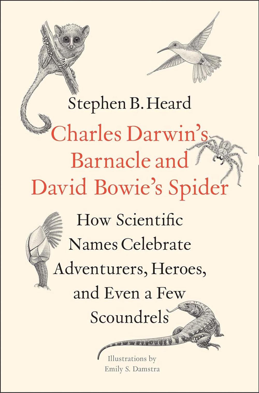 Charles Darwin's Barnacle and David Bowie's Spider, 9780300238280