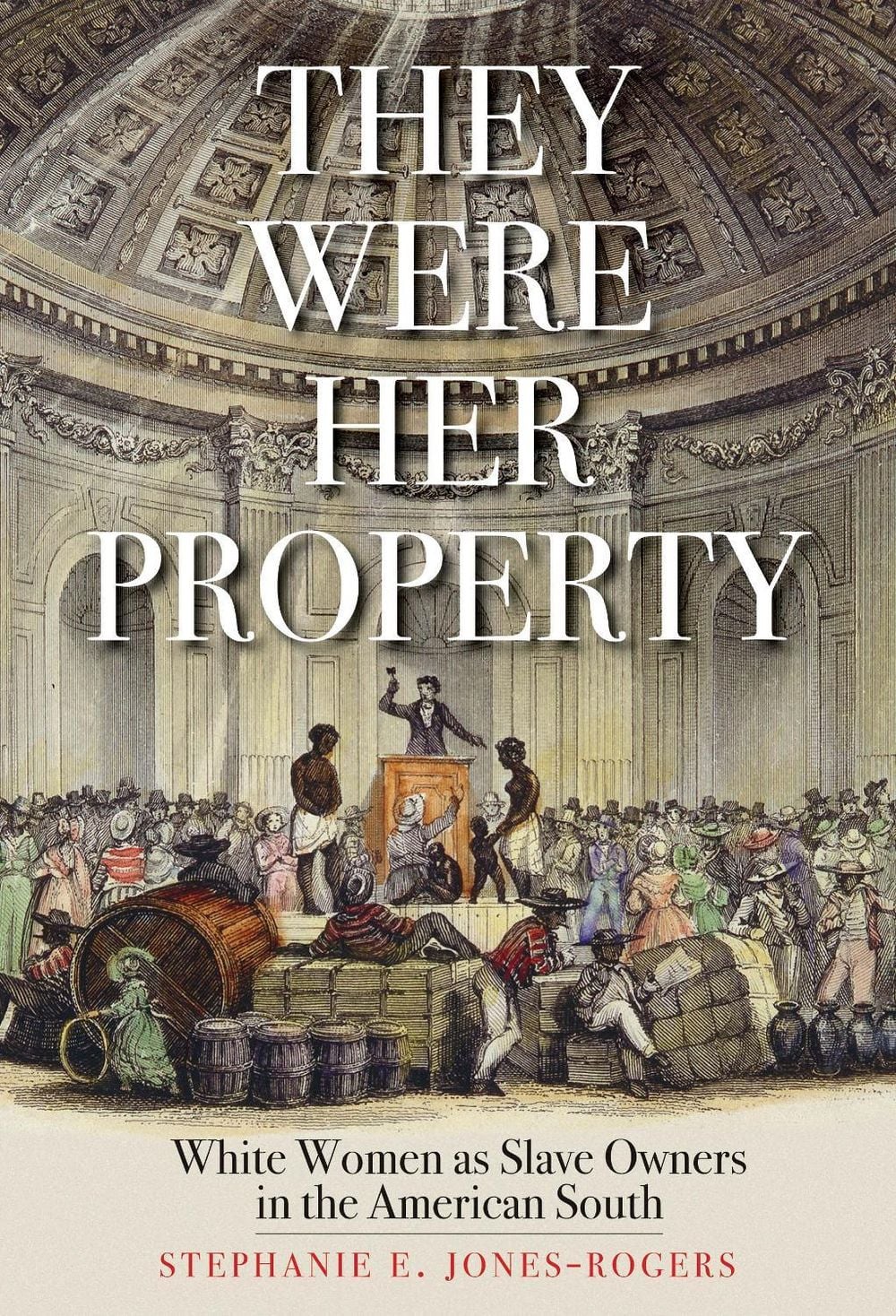 They Were Her Property by Stephanie E. Jones-Rogers - ISBN: 9780300251838