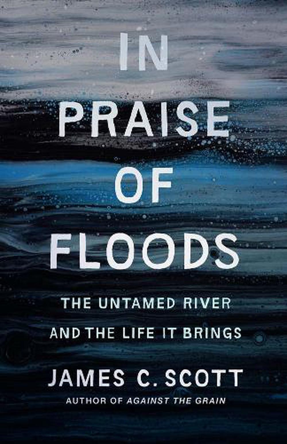 In Praise of Floods, 9780300278491