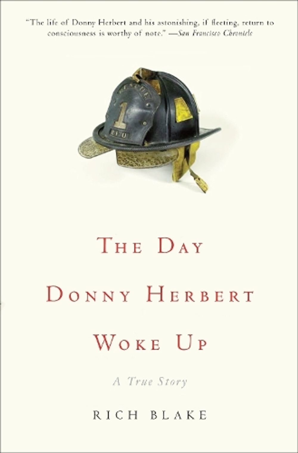 The Day Donny Herbert Woke Up by Rich Blake - ISBN: 9780307383174