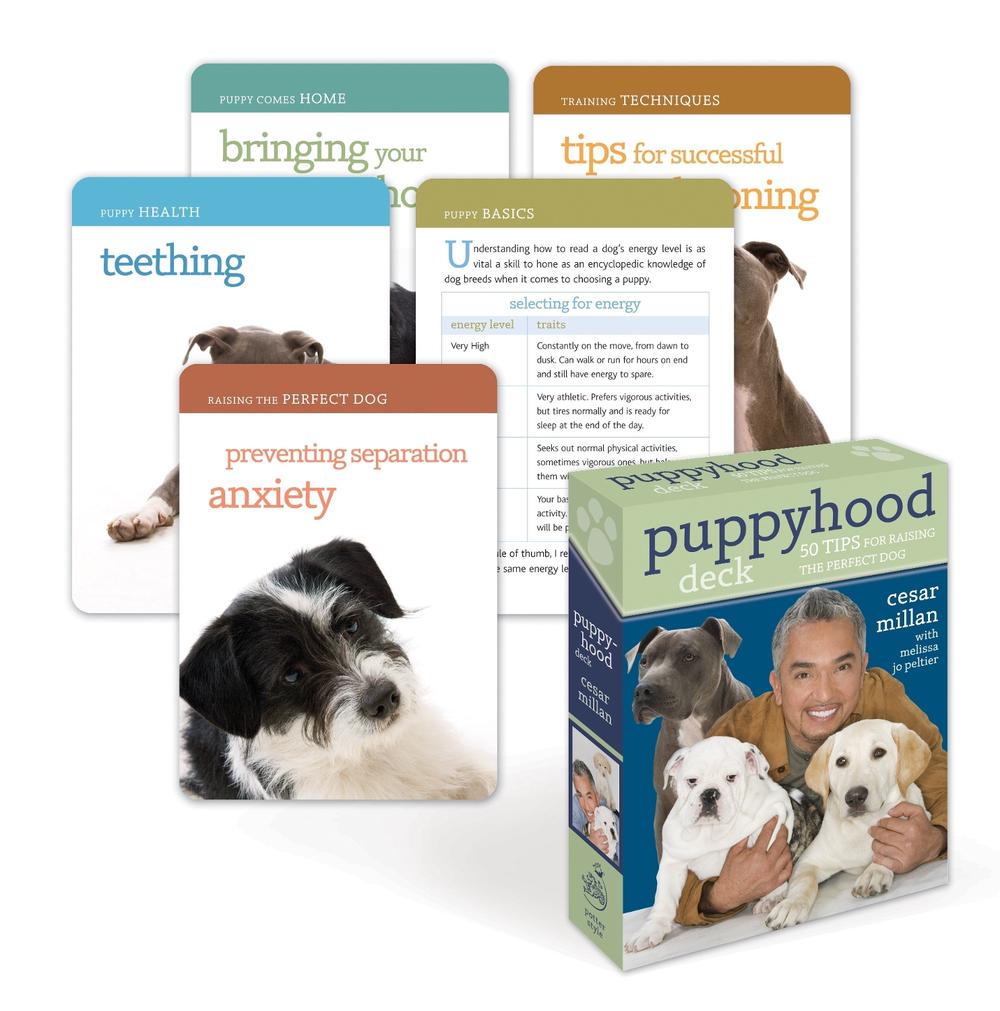 Puppyhood Deck by Cesar Millan, Cards, 9780307463487 Buy online